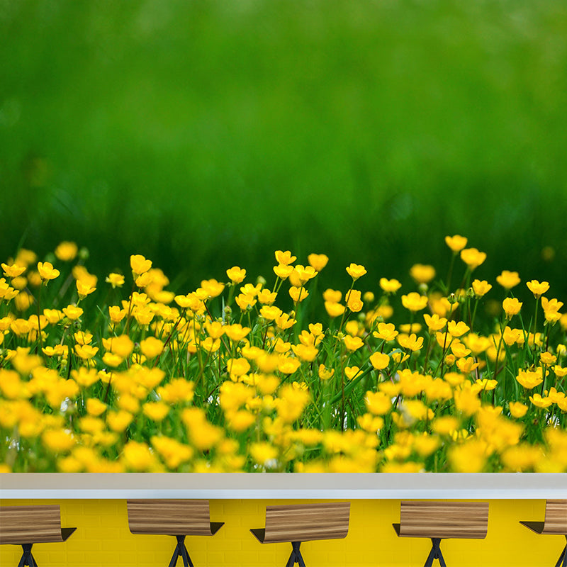 Multi Color Flower Removable Mural Wallpaper Stain Resistant Decor for Bedroom