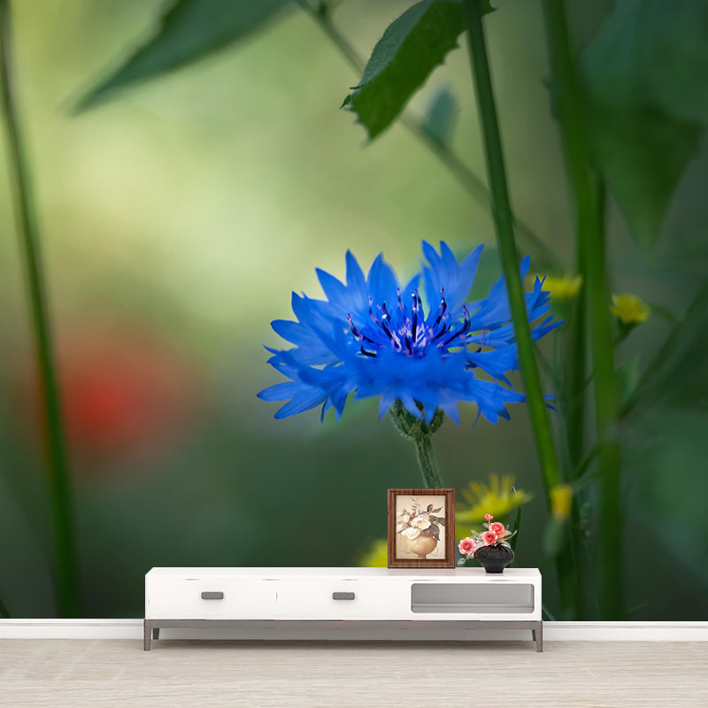 Photography Wall Mural with Blooming Flower Moisture Resistant Wall Decor