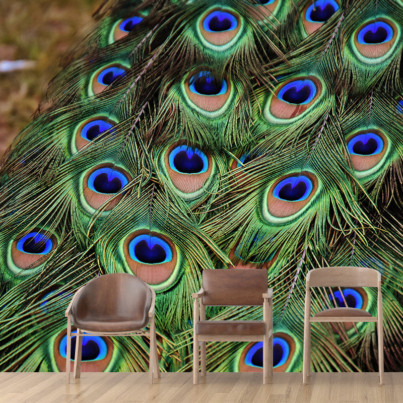 Peacock Feather Mural Wallpaper Tropical
Style Moisture Resistant for Living Room