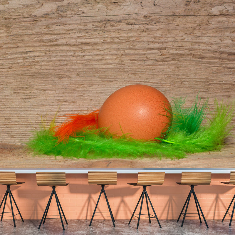 Photography Horizontal Light Feather Mural Wallpaper Wall Covering for Dining Room