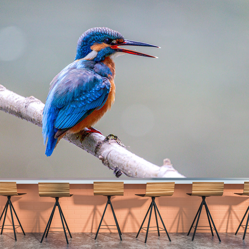 Kingfisher Contemporary Mural Wallpaper Mildew Resistant Wall Decor for Accent Wall