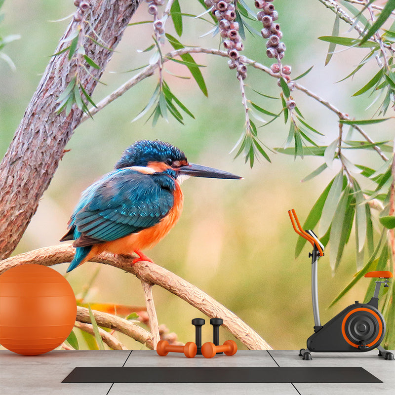 Kingfisher Contemporary Mural Wallpaper Mildew Resistant Wall Decor for Accent Wall