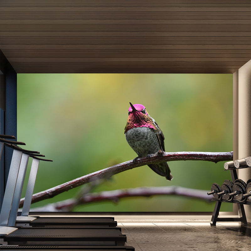 Modern Hummingbird Wall Mural Decal Eco-friendly Stain Resistant for Sitting Room