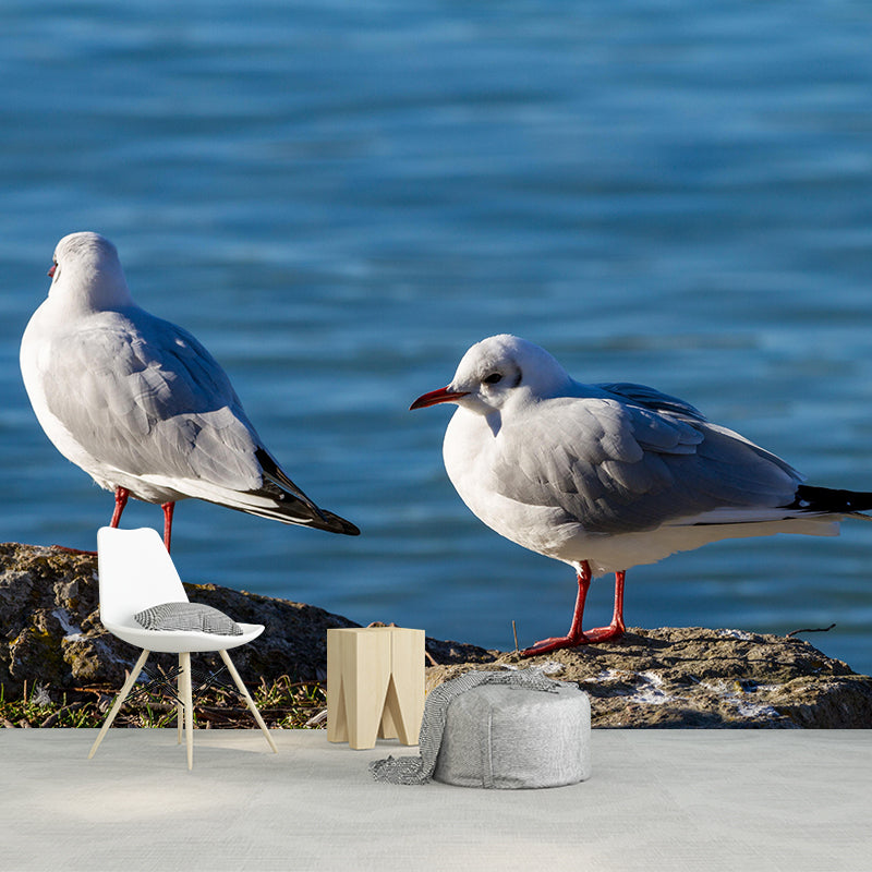 Modern Seagull Wall Mural Decal Eco-friendly Stain Resistant for Sitting Room