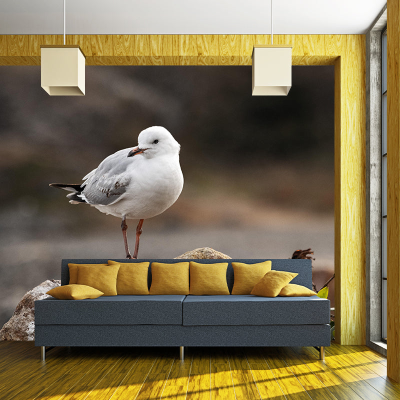 Modern Seagull Wall Mural Decal Eco-friendly Stain Resistant for Sitting Room