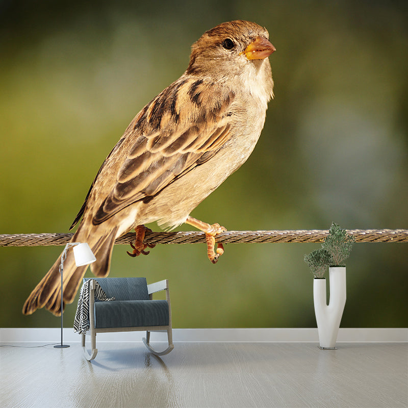 Sparrow Contemporary Mural Wallpaper Mildew Resistant Wall Decor for Accent Wall