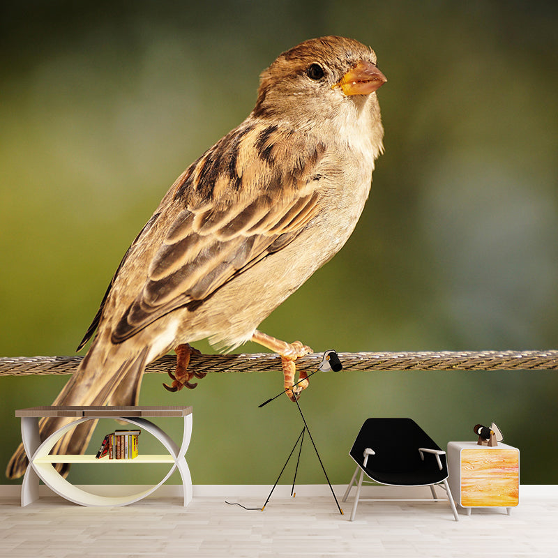 Sparrow Contemporary Mural Wallpaper Mildew Resistant Wall Decor for Accent Wall