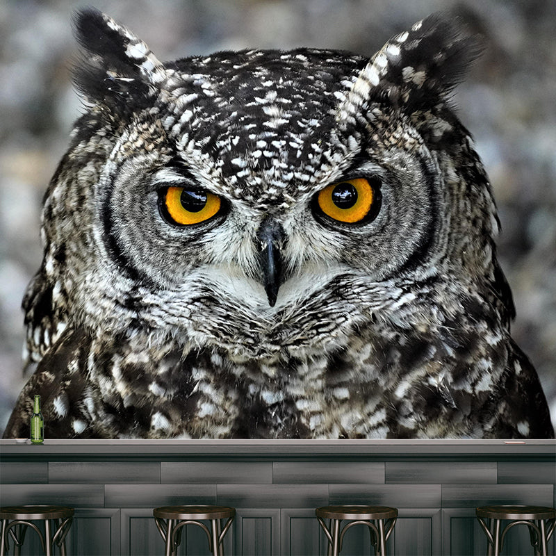 Modern Owl Wall Mural Decal Eco-friendly Stain Resistant for Sitting Room
