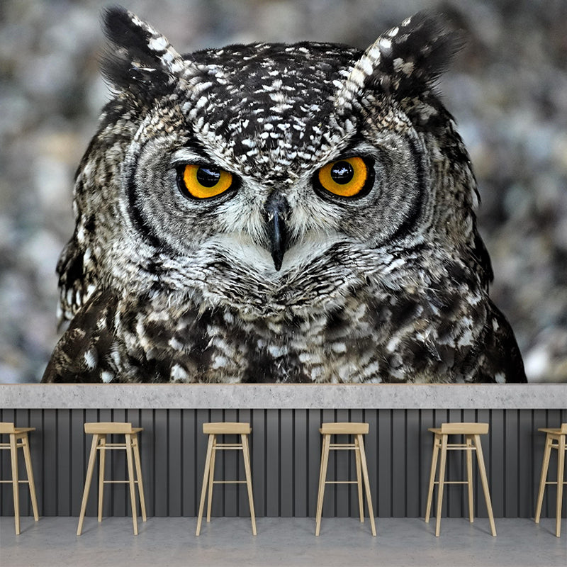 Modern Owl Wall Mural Decal Eco-friendly Stain Resistant for Sitting Room