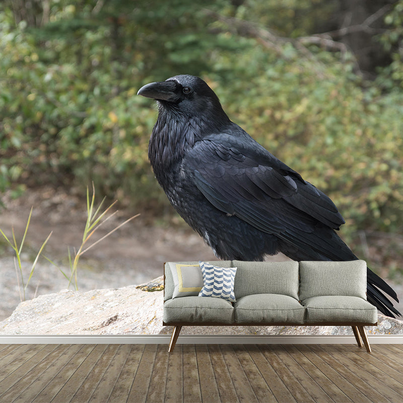 Dark Crow Simple Mural Wallpaper Mildew Resistant Wall Decor for Accent Wall