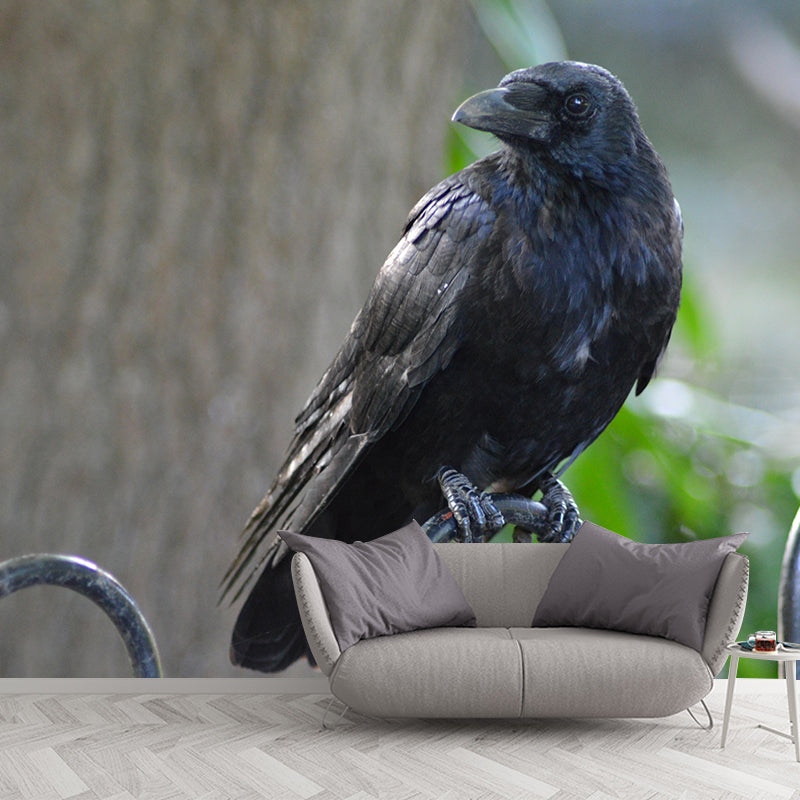 Dark Crow Simple Mural Wallpaper Mildew Resistant Wall Decor for Accent Wall