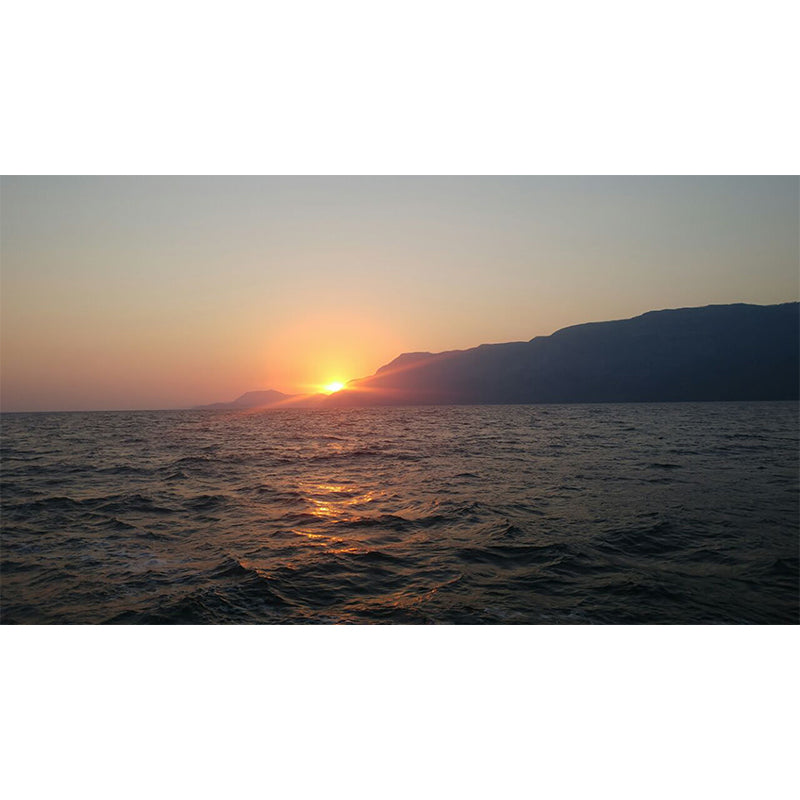 Customized Sea Pattern Wall Mural Decal Moisture Resistant for Sleeping Room