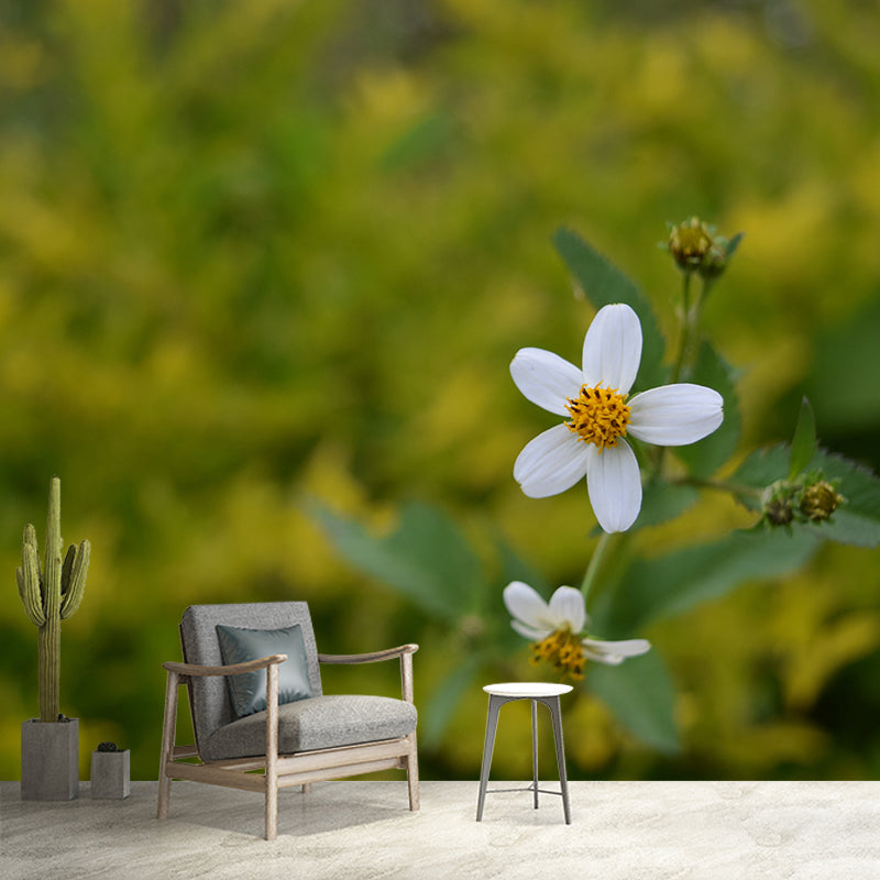 Flower Wall Mural Mildew Resistant Photography Horizontal Wall Decor for Bedroom