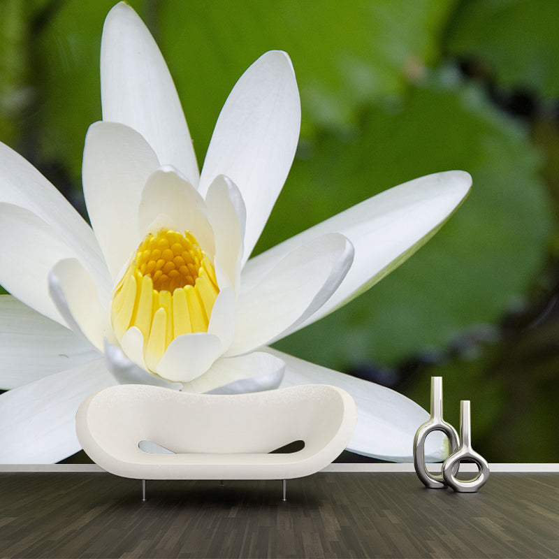 Flower Wall Mural Mildew Resistant Photography Horizontal Wall Decor for Bedroom