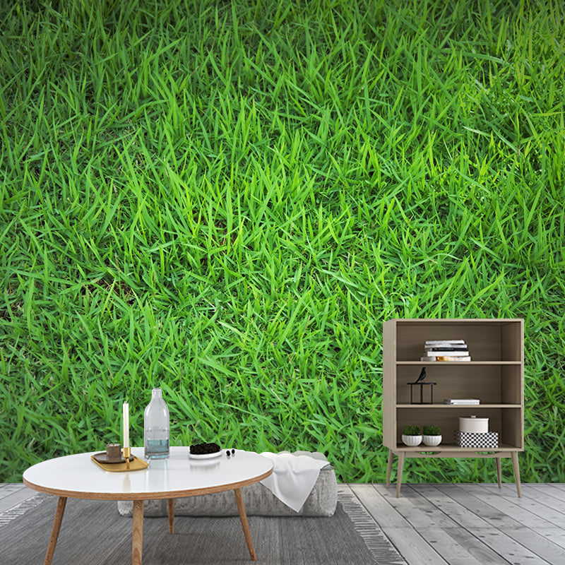 Weed Wall Mural Water Mildew Resistant Environment Friendly Wall Decor for Bedroom