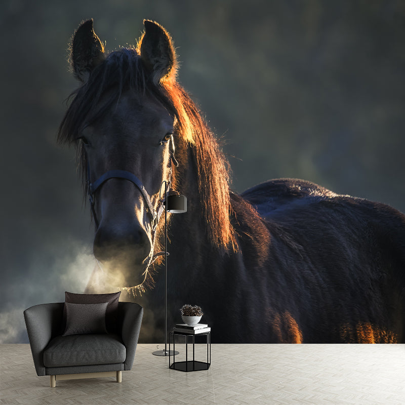 Galloping Horse Animal Mural Wallpaper for Sitting Room, Water Resistant