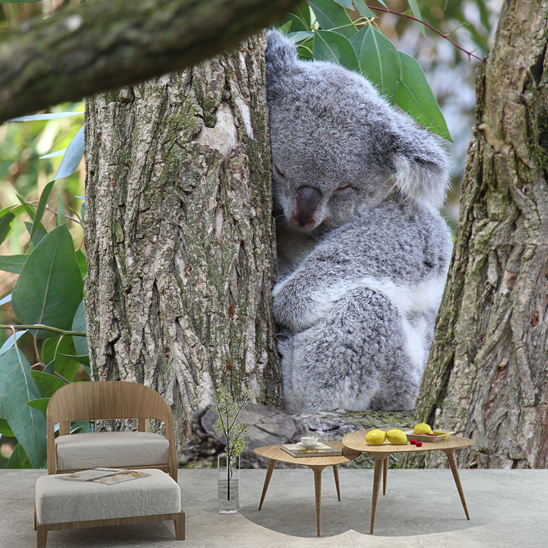 Koala Animals Mural Wallpaper Washable Living Room Wall Decor, Moisture Resistant
