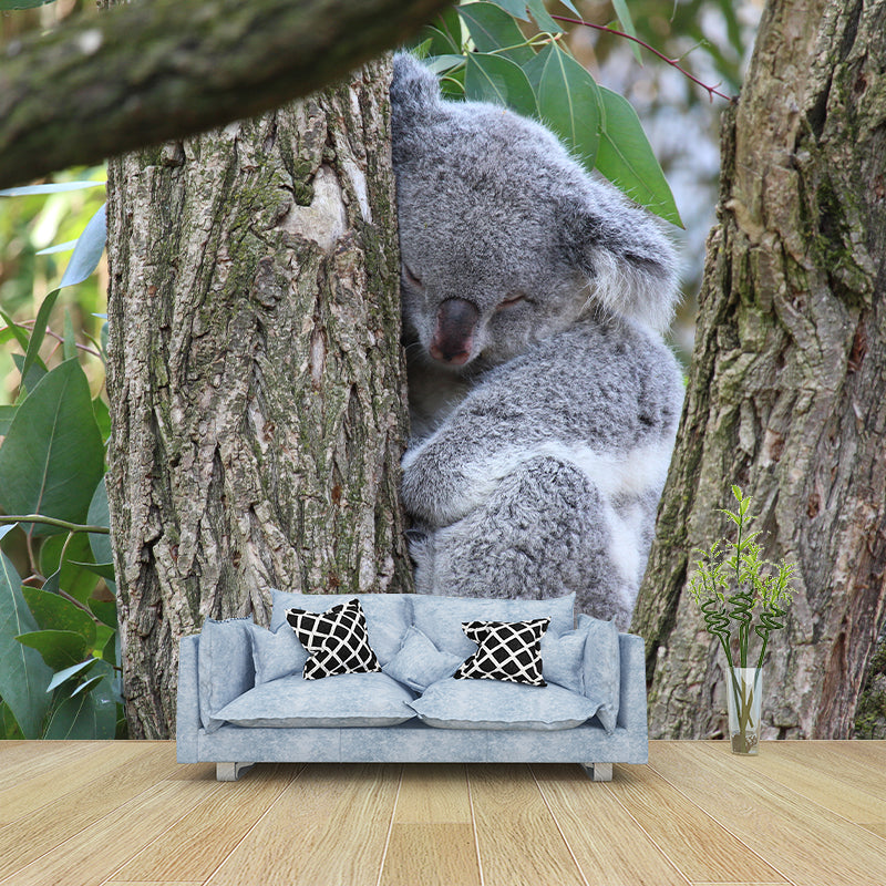 Koala Animals Mural Wallpaper Washable Living Room Wall Decor, Moisture Resistant