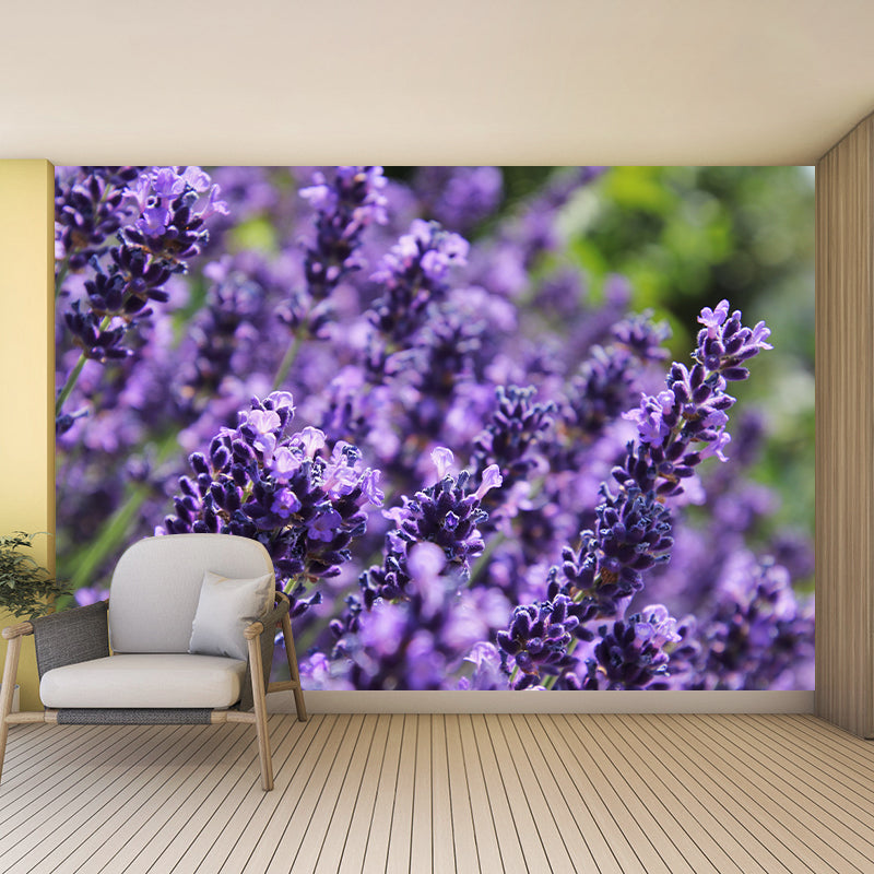 Purple Lavender Scenery Mural Wallpaper Modern Decorative for Meeting Room