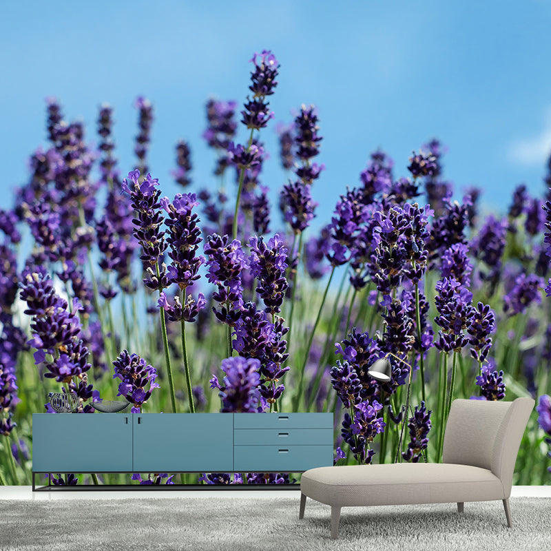 Purple Lavender Scenery Mural Wallpaper Modern Decorative for Meeting Room