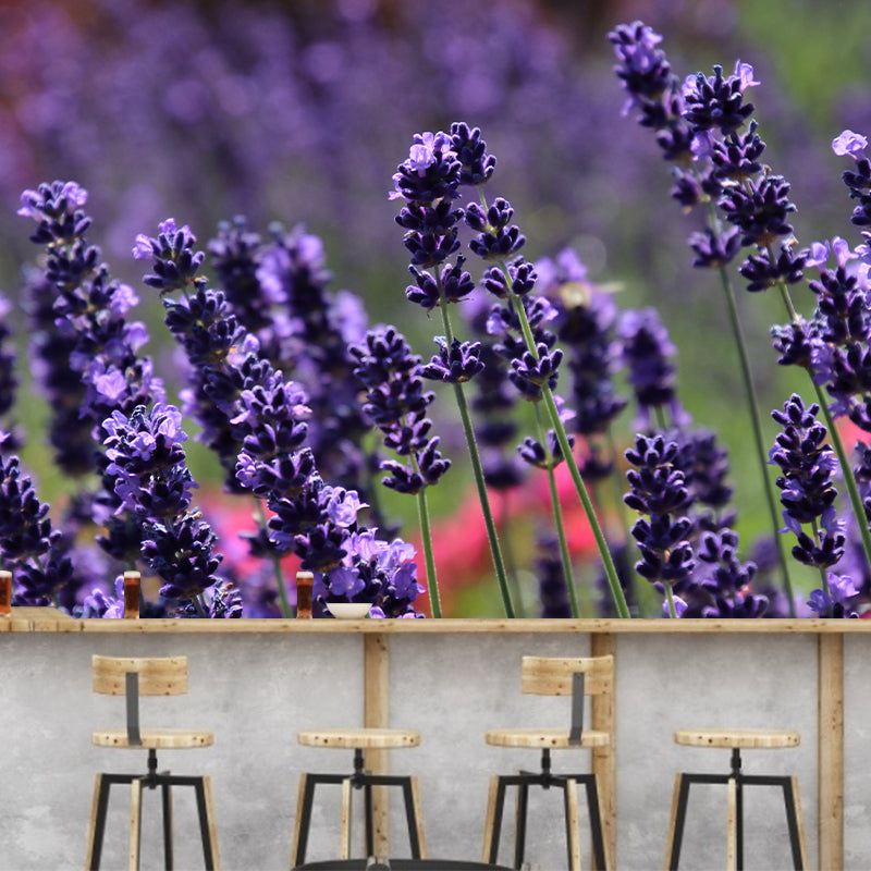 Blooming Lavender Wall Mural Decal for Living Room Bedroom, Stain Resistant