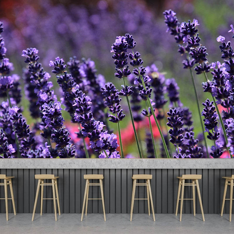 Blooming Lavender Wall Mural Decal for Living Room Bedroom, Stain Resistant