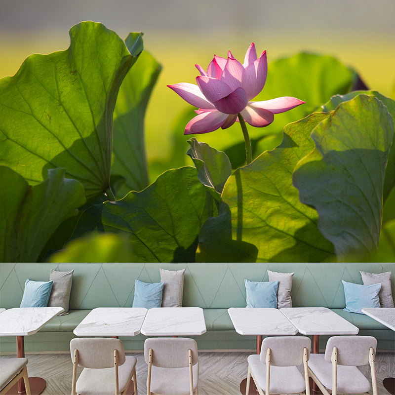 Lotus Leaf and Lotus Mural Wallpaper Stain-Resistant Wall Decor for Guest Room