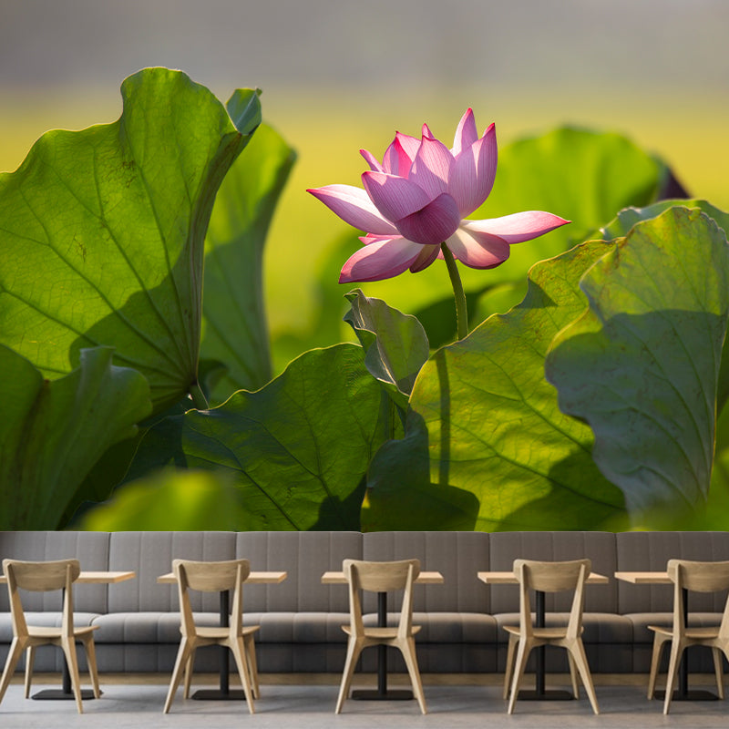 Lotus Leaf and Lotus Mural Wallpaper Stain-Resistant Wall Decor for Guest Room