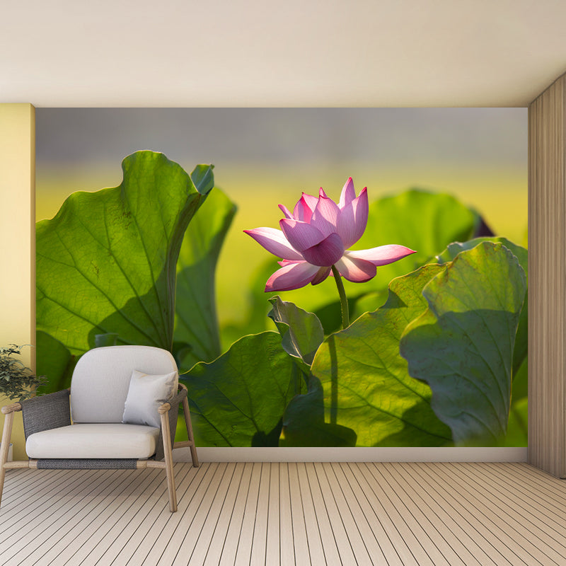 Lotus Leaf and Lotus Mural Wallpaper Stain-Resistant Wall Decor for Guest Room