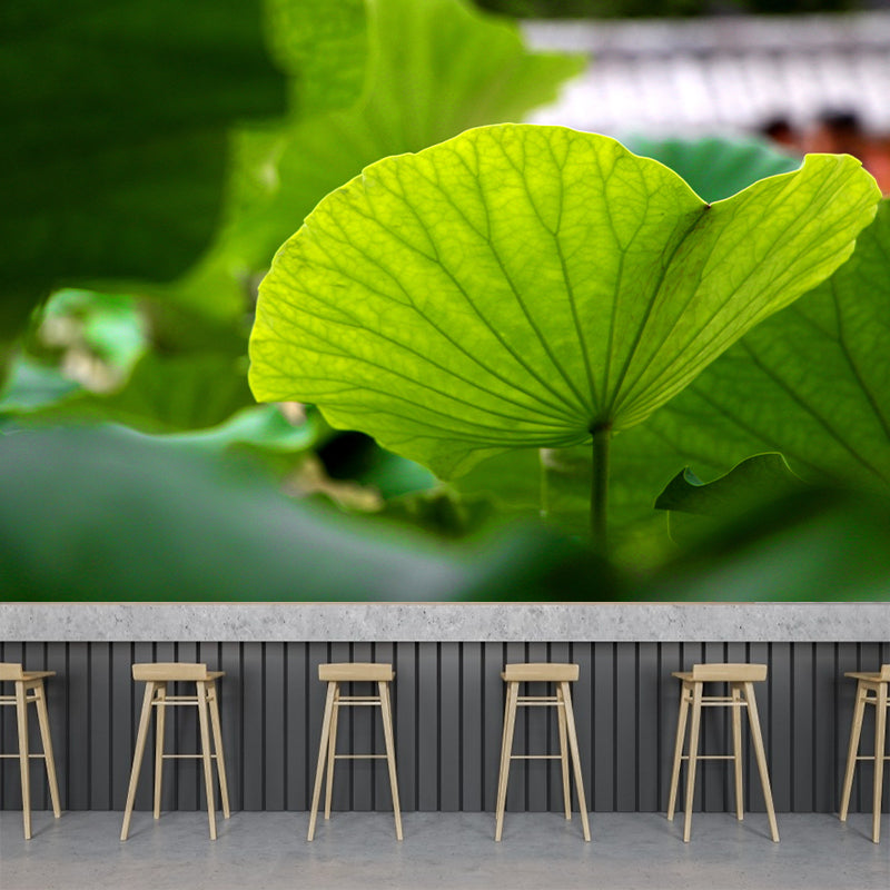 Green Lotus Leaf Mural Wallpaper Stain Resistant Wall Covering for Living Room