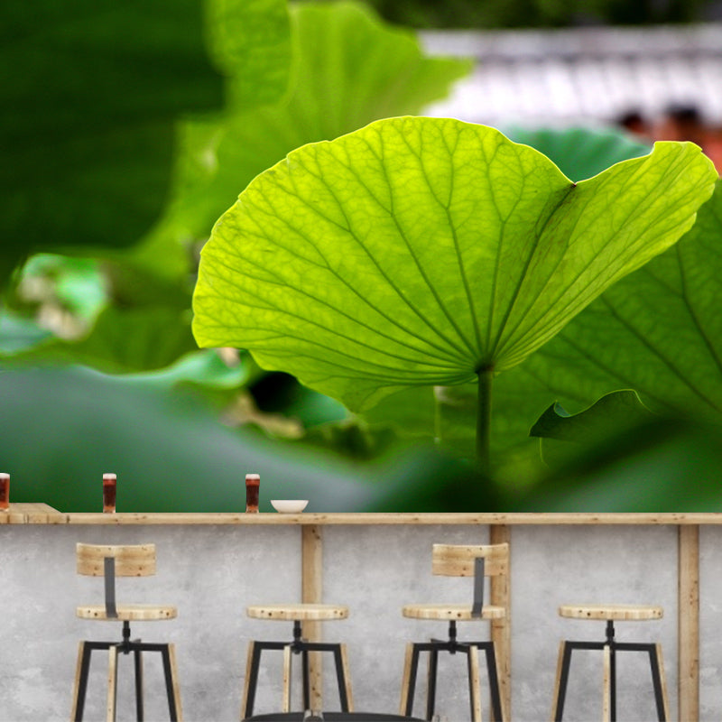 Green Lotus Leaf Mural Wallpaper Stain Resistant Wall Covering for Living Room