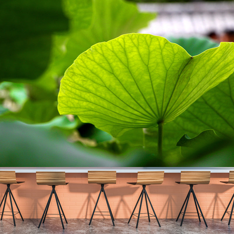 Green Lotus Leaf Mural Wallpaper Stain Resistant Wall Covering for Living Room