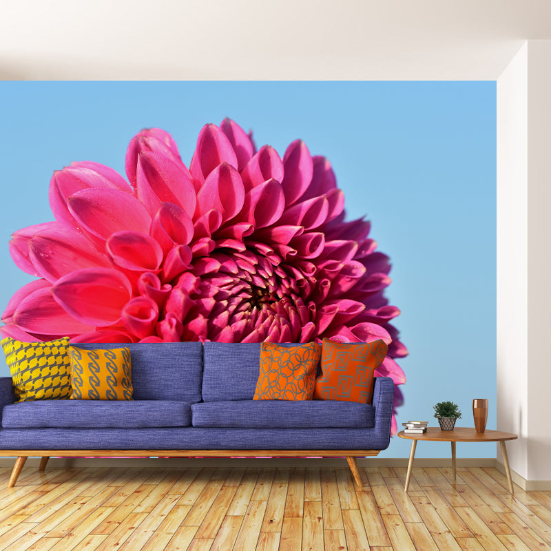 Fragrant Dahlia Mural Wallpaper for Girl Bedroom, Custom Size Available
