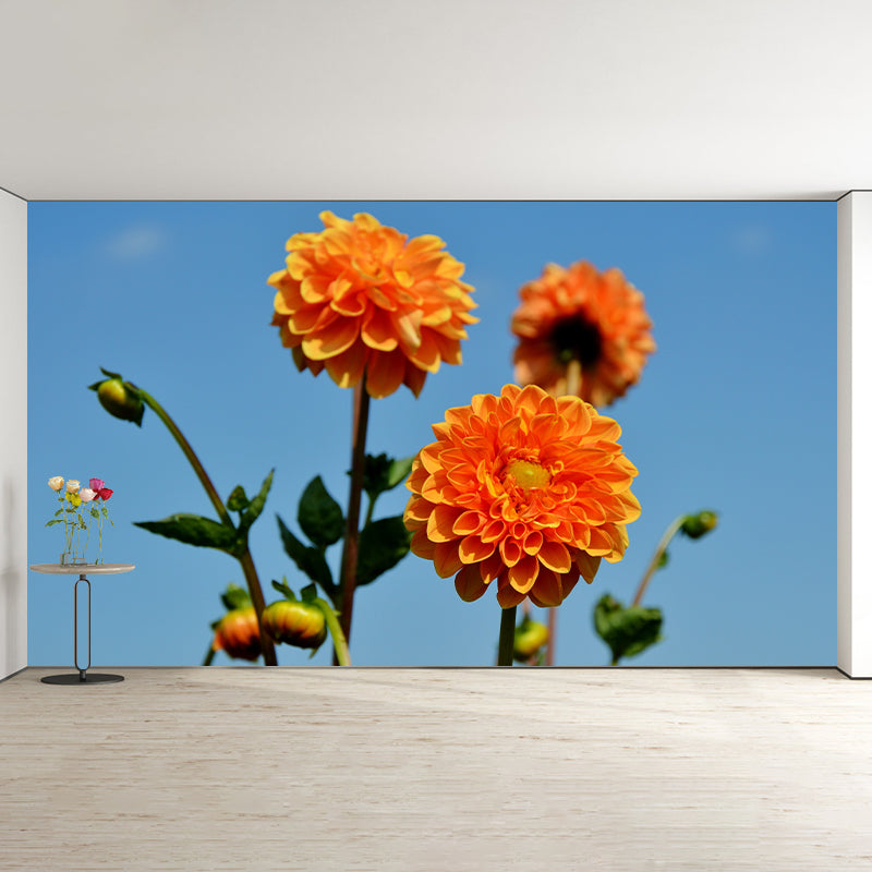 Fragrant Dahlia Mural Wallpaper for Girl Bedroom, Custom Size Available