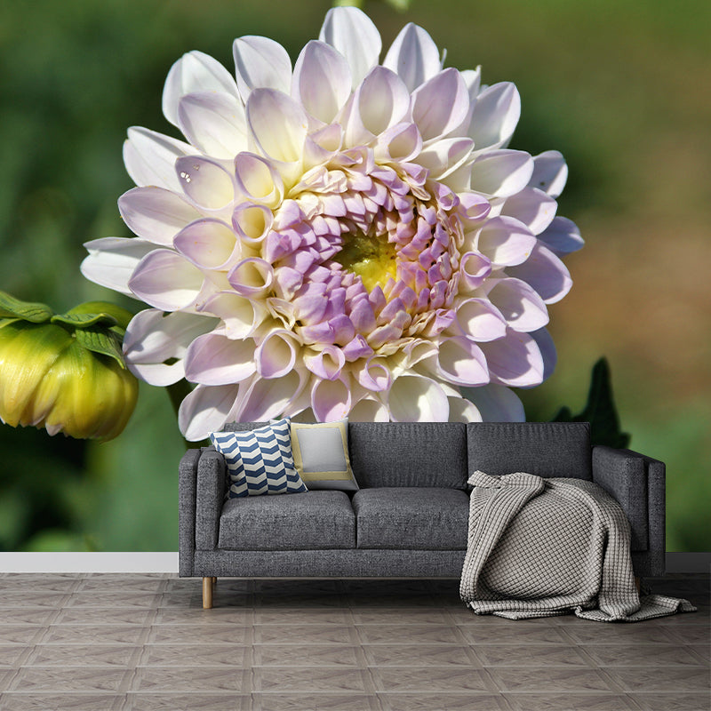 Fragrant Dahlia Mural Wallpaper for Girl Bedroom, Custom Size Available