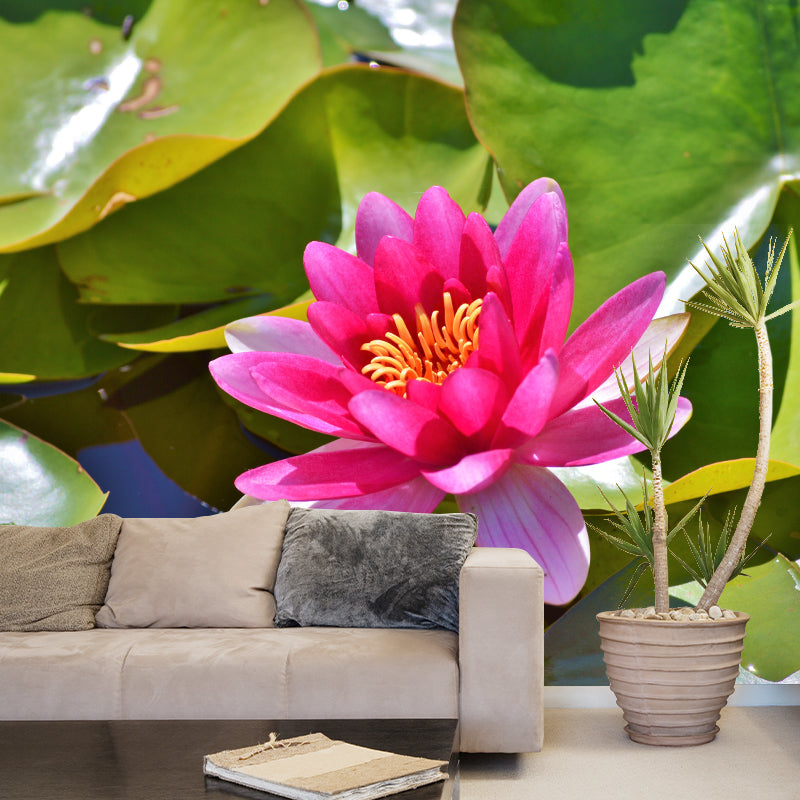 Lotus Flower Mural for Accent Wall Water Resistant Wall Covering in Light Color
