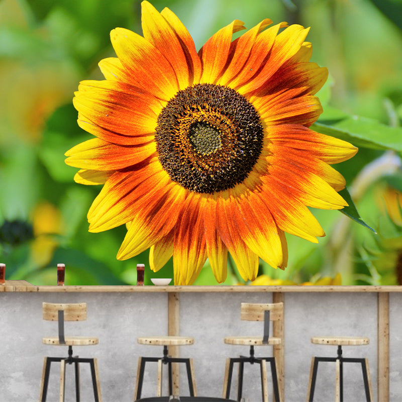 Sunflower Wall Covering for Living Room Flower Mural, Moisture-Resistant