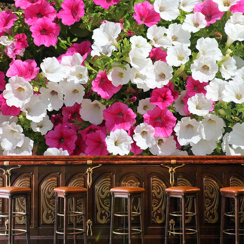 Petunias Flowers Wallpaper Mural Decal Customized Modern Wall Covering for Bedroom