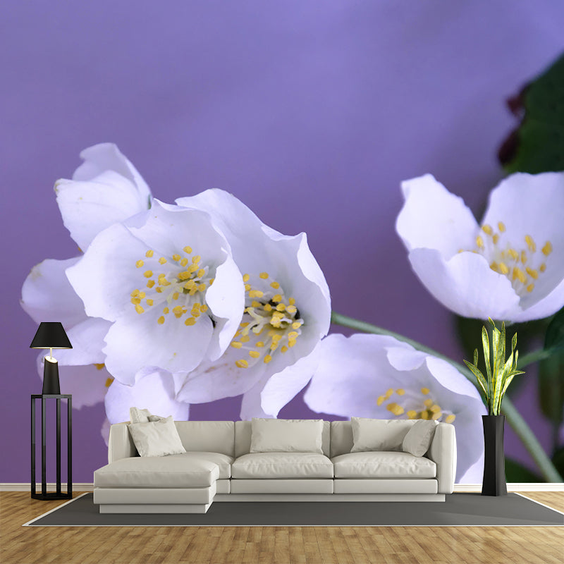 Modern Jasmin Mural Wall Decor Mildew Resistant Living Room Wall Mural Wall Art