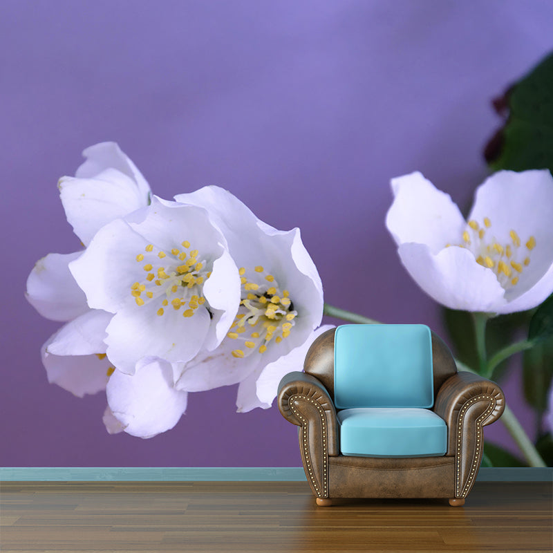 Modern Jasmin Mural Wall Decor Mildew Resistant Living Room Wall Mural Wall Art
