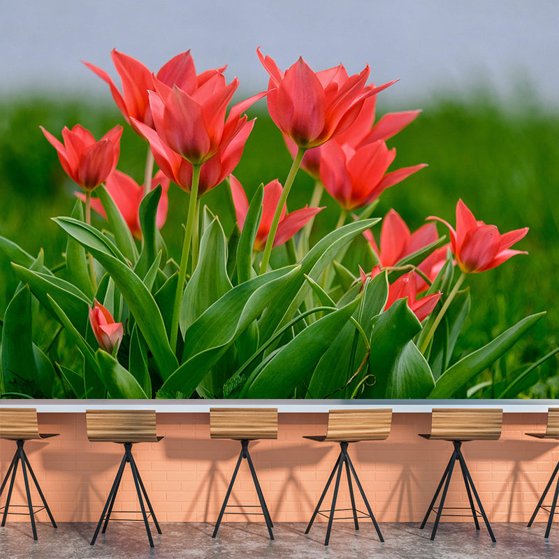 Tulips Wallpaper Mural Decal Customized Modern Wall Covering for Bedroom