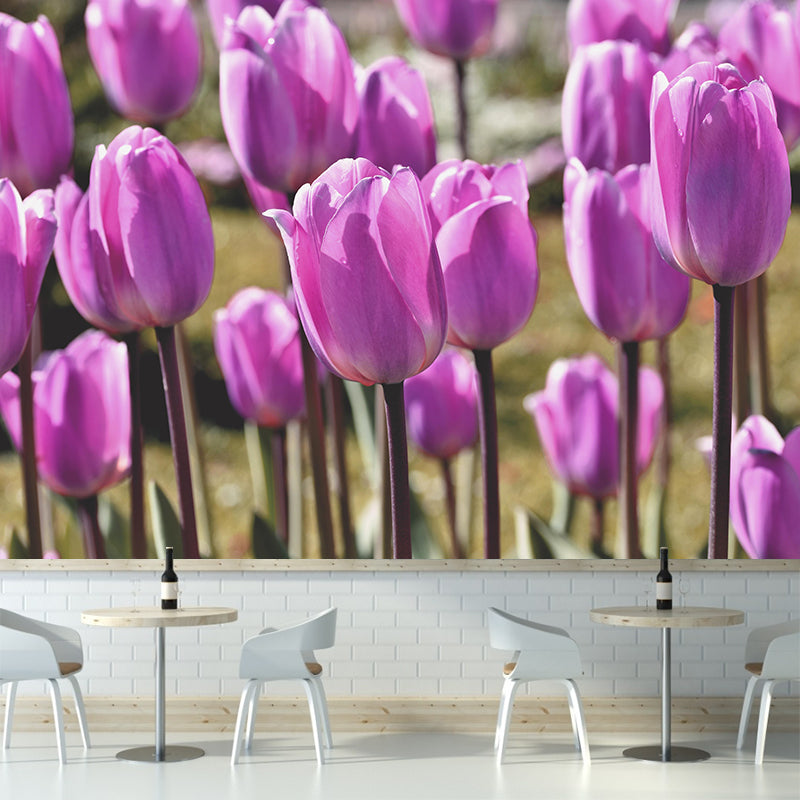 Tulips Wallpaper Mural Decal Customized Modern Wall Covering for Bedroom