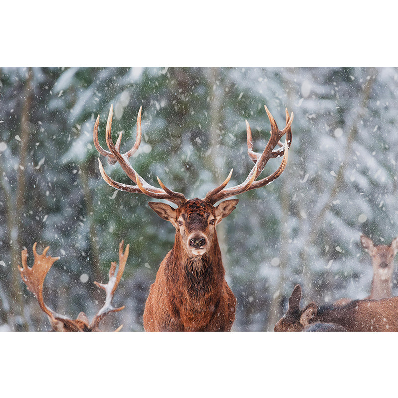 Modern Bucks Mural Wall Decor Mildew Resistant Living Room Wall Mural Wall Art