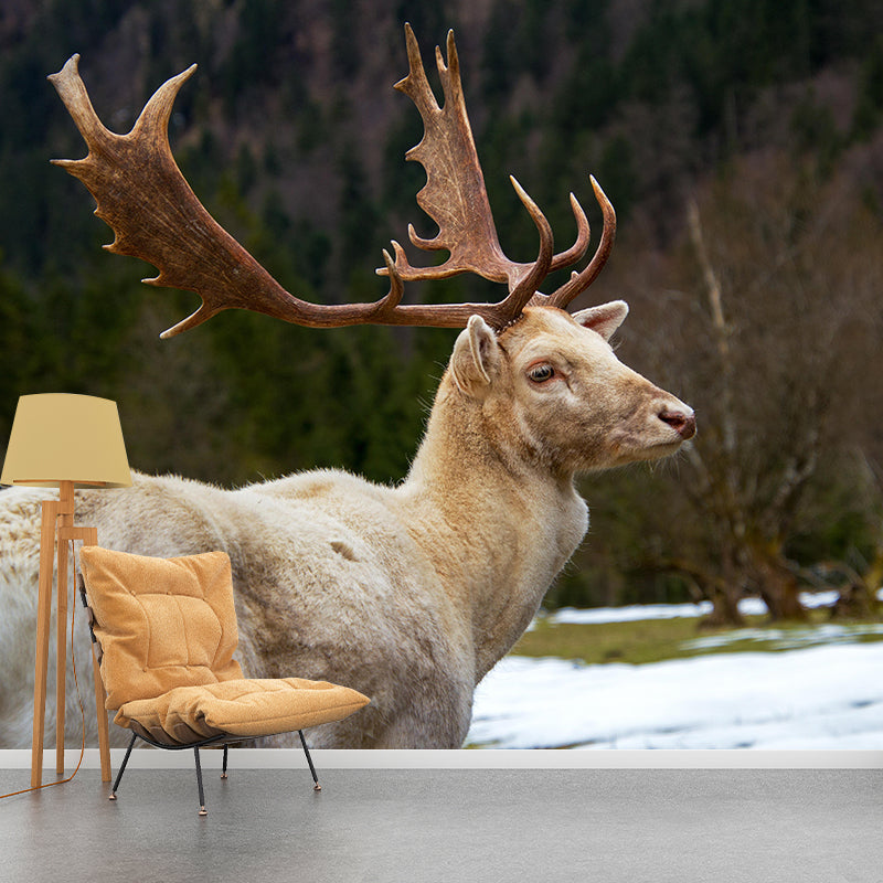 Modern Bucks Mural Wall Decor Mildew Resistant Living Room Wall Mural Wall Art