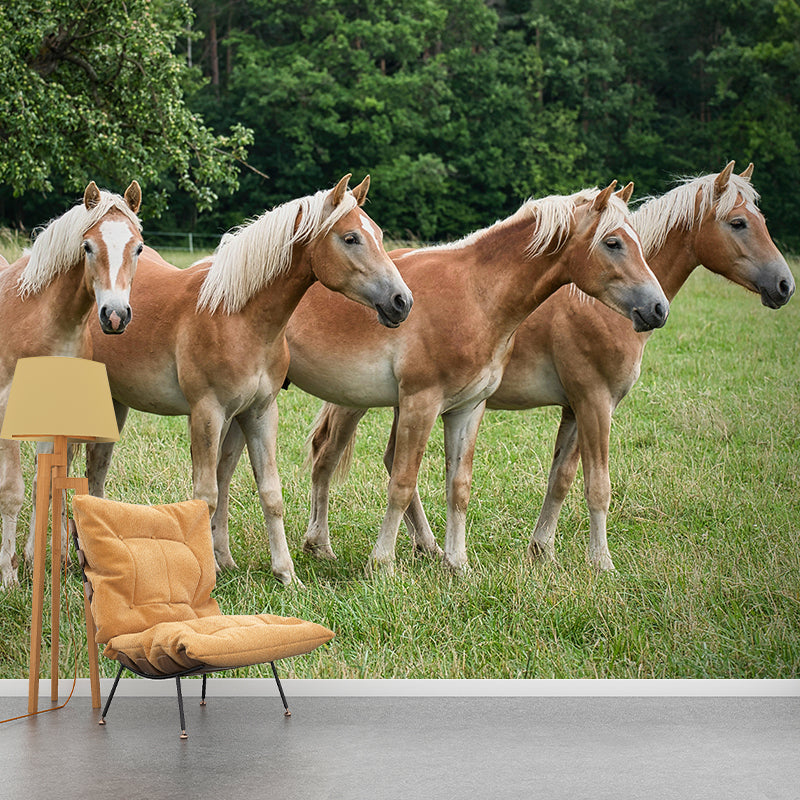 Photography Horses Mural Wall Decor Mildew Resistant Living Room Wall Mural for Decoration