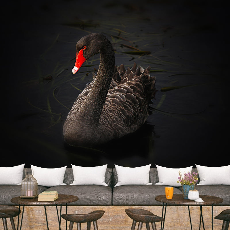 Black Swan Wallpaper Mural Decal Customized Modern Wall Covering for Bedroom