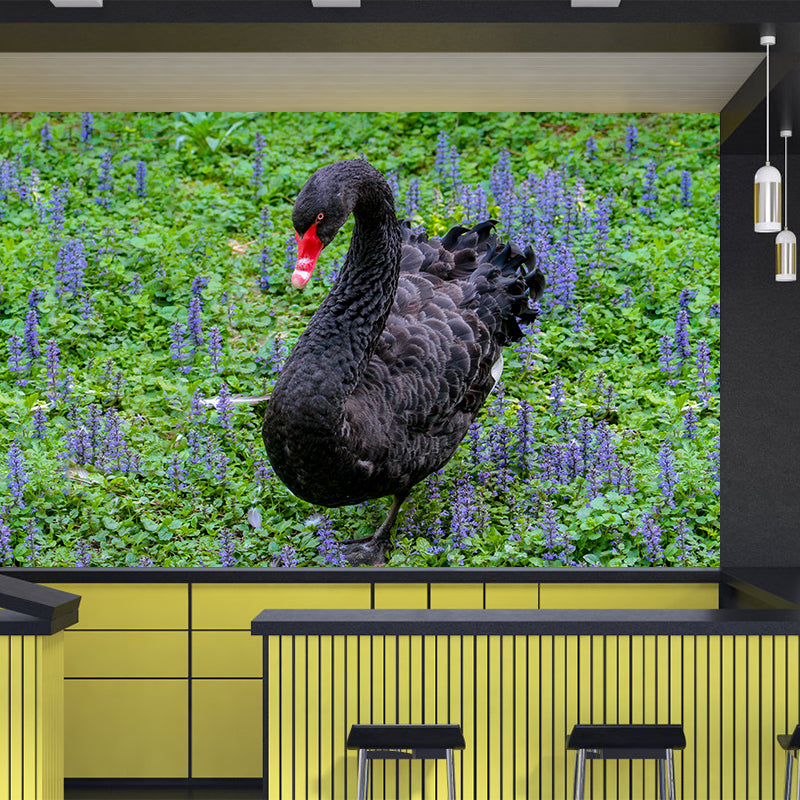 Black Swan Wallpaper Mural Decal Customized Modern Wall Covering for Bedroom