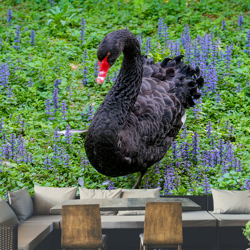 Black Swan Wallpaper Mural Decal Customized Modern Wall Covering for Bedroom