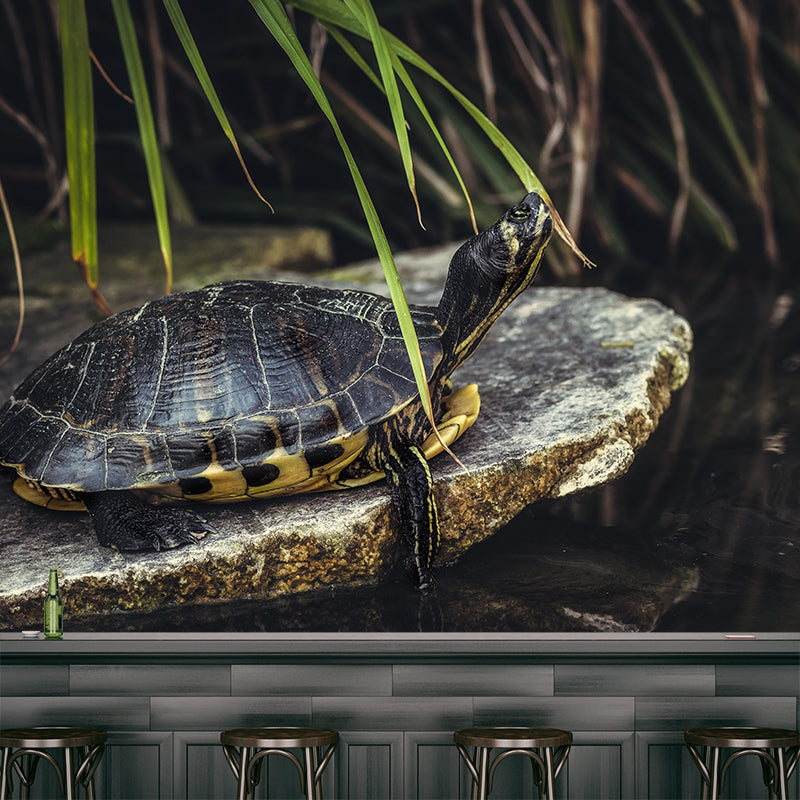 Customized Tortoise Mural Decal Eco-friendly Wallpaper for Living Room Wall Art