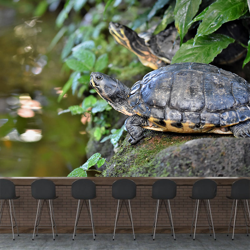 Customized Tortoise Mural Decal Eco-friendly Wallpaper for Living Room Wall Art
